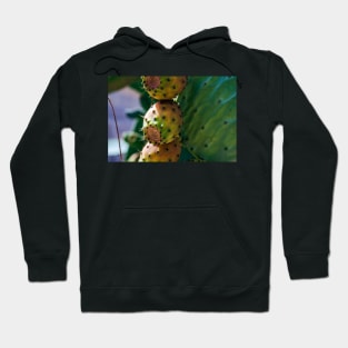 Close up to the orange fruits of Opuntia ficus-indica (prickly pear) Hoodie